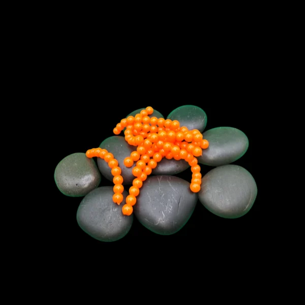 salmon eggs