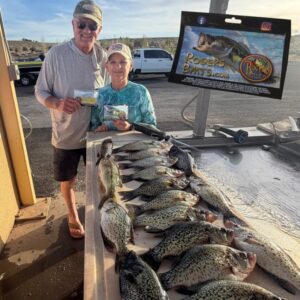 Lake powell rogers baits