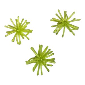 1.25 Inch Cholla Ball Pequo