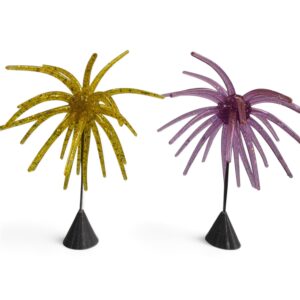 3.6 Inch Cholla Ball Medusa