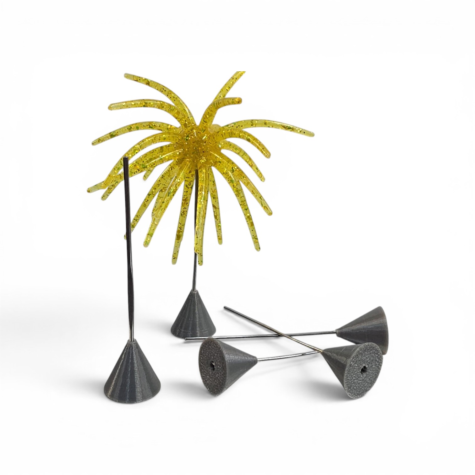 cholla ball urchin stand